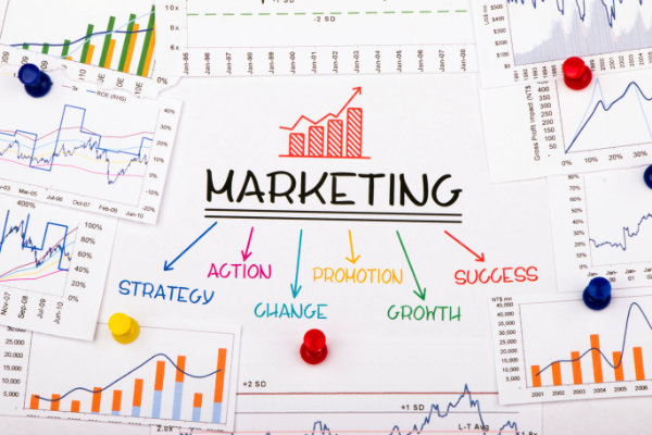Professional Package – Scale with Confidence